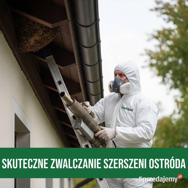 Zwalczanie Szerszeni Ostróda Usuwanie Gniazd Zwalczanie szkodników, deratyzacja warmińsko-mazurskie