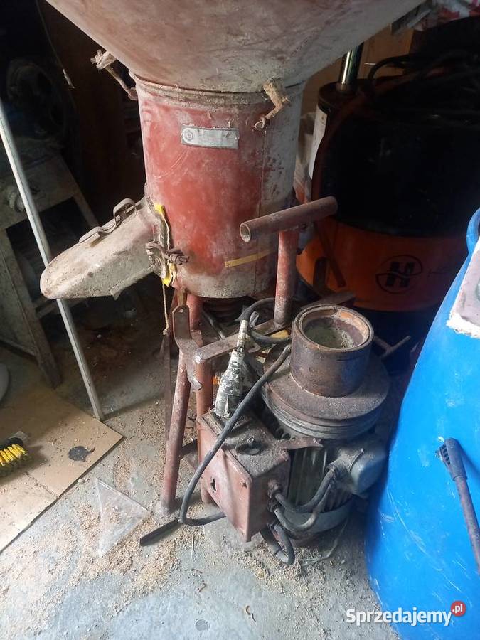 śrótownik bąk kujawsko-pomorskie Włocławek