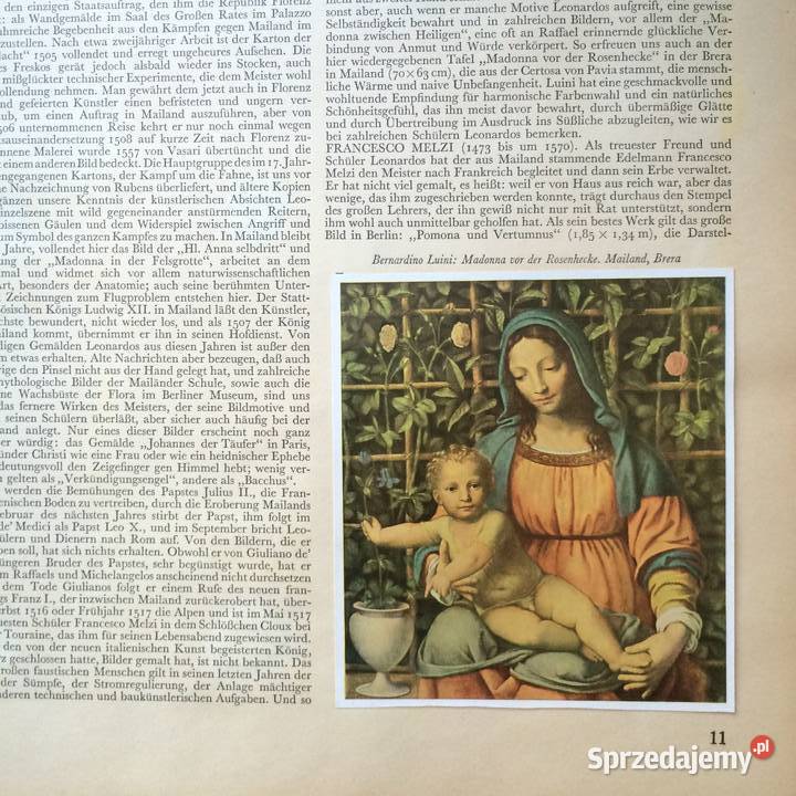 2117 Malarstwo Renesans Szczecin