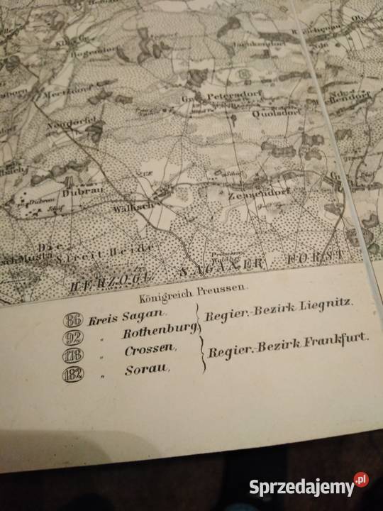 Mapa poniemiecka miasta Żary Sorau sprzedam