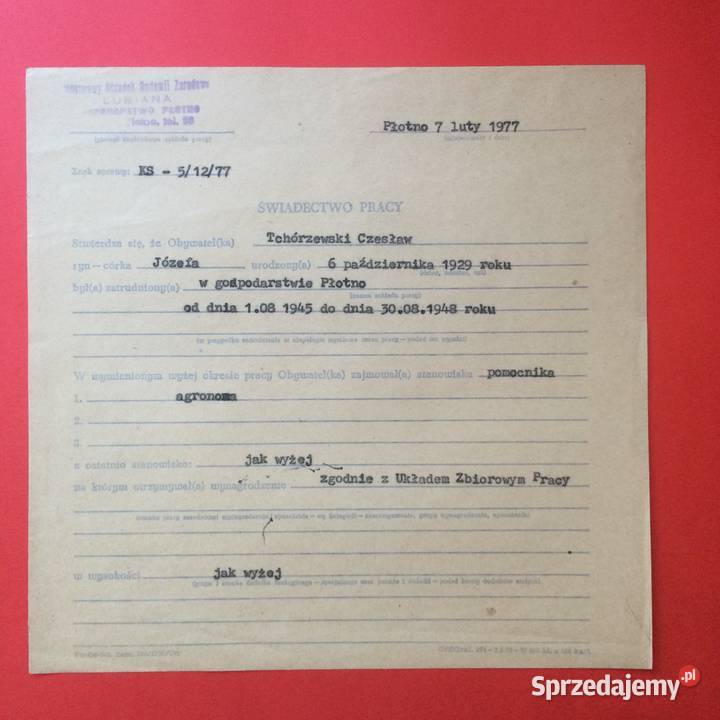 1754 Świadectwo Pracy Tchórzewski zachodniopomorskie Szczecin