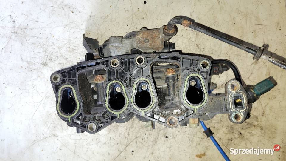 Kolektor dolotowy Fiat Seicento 11 Łagów