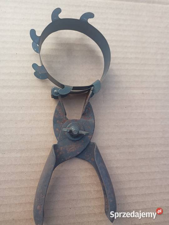 Żuk Nysa Tarpan Fiat 125 126 i inne Bydgoszcz