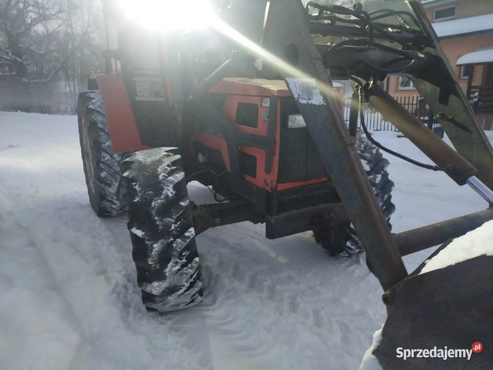 Same Explorer Ignatów-Kolonia