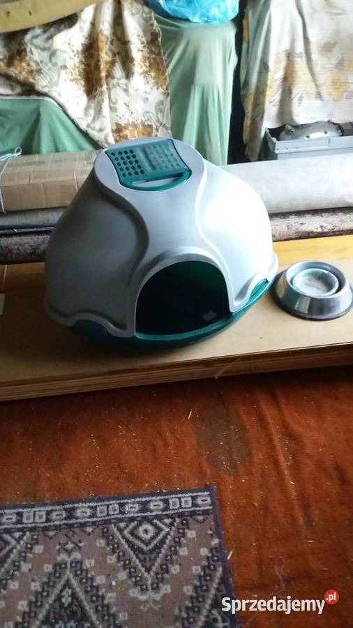 KOJEC KUWETA PIES KOT podkarpackie Leżajsk