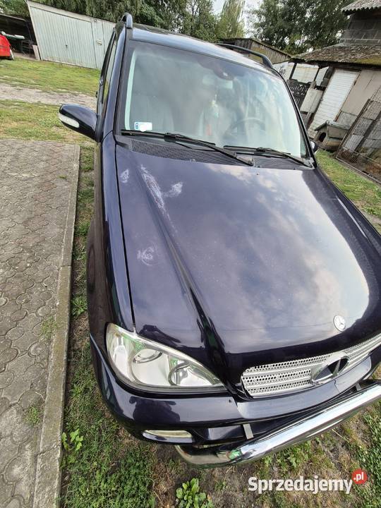 Mercedes ML270 CDI W163 2004 wielkopolskie Kalisz