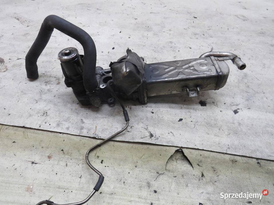 CHŁODNICA SPALIN 16 TDI PASSAT B7 sprzedam
