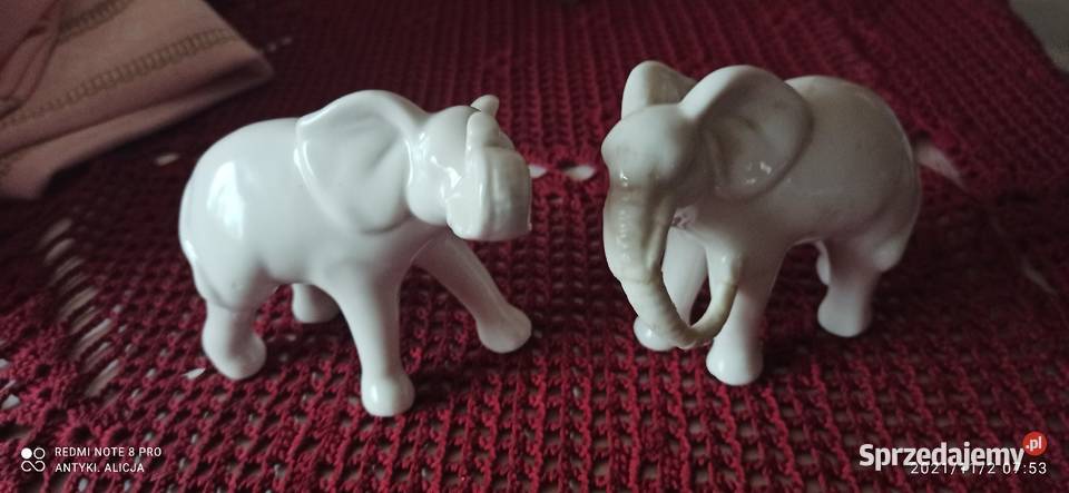 Figurka porcelanowa słoń
Biała porcelana Gdańsk sprzedam