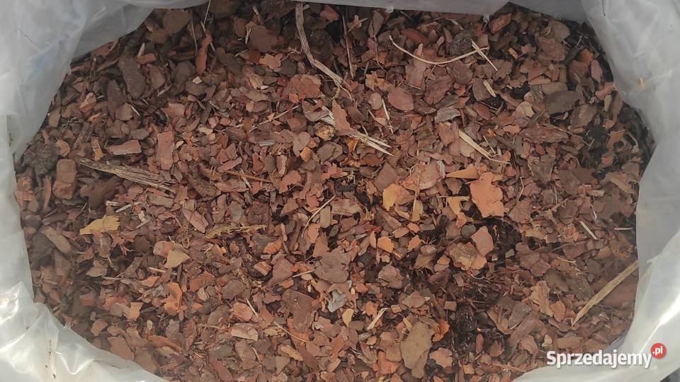 Kora sosnowa sortowana Drobna średnia Worek 80l Kórnik sprzedam