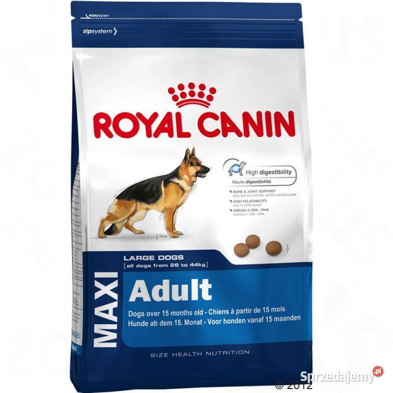 Karma psa Royal Canin Maxi Adult 15 OKAZJA Białe Błota