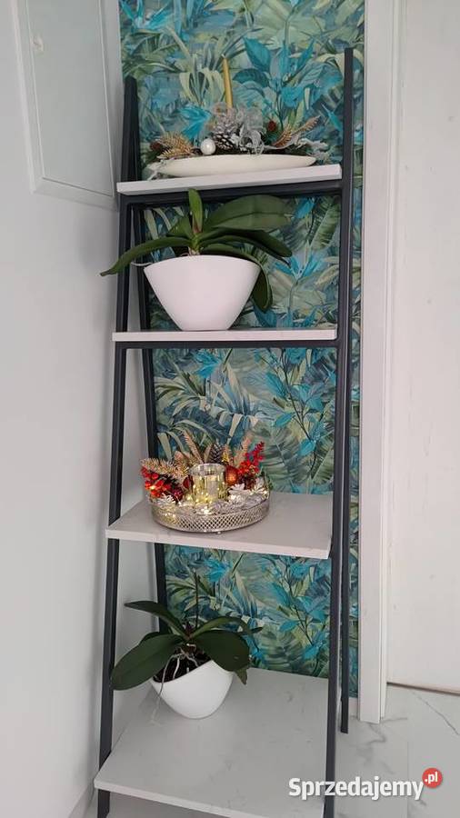 Półka drabina stojak regał 48cm Łódź