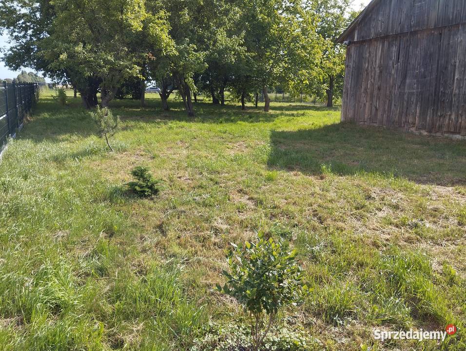 Siedlisko działka 21a Puchaczów Stara Wieś 106zł/m2 Łęczna