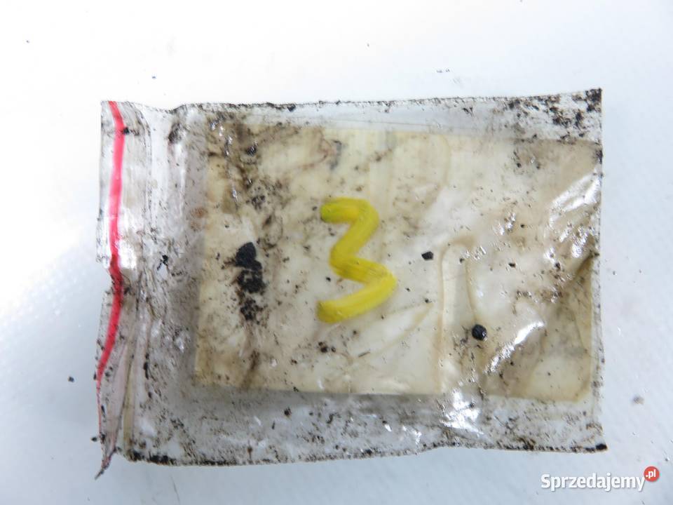 WTRYSKIWACZ RENAULT LAGUNA II 19 dCi 0445110021 sprzedam