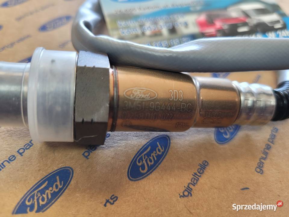 Sonda Ford Focus 3M519G444BC 1536254 BRATFORD mazowieckie Radom