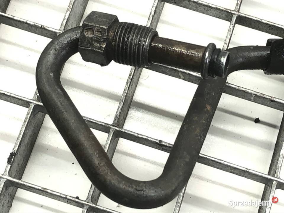 WĄŻ WSPOMAGANIA RENAULT SCENIC I 19 101 9910