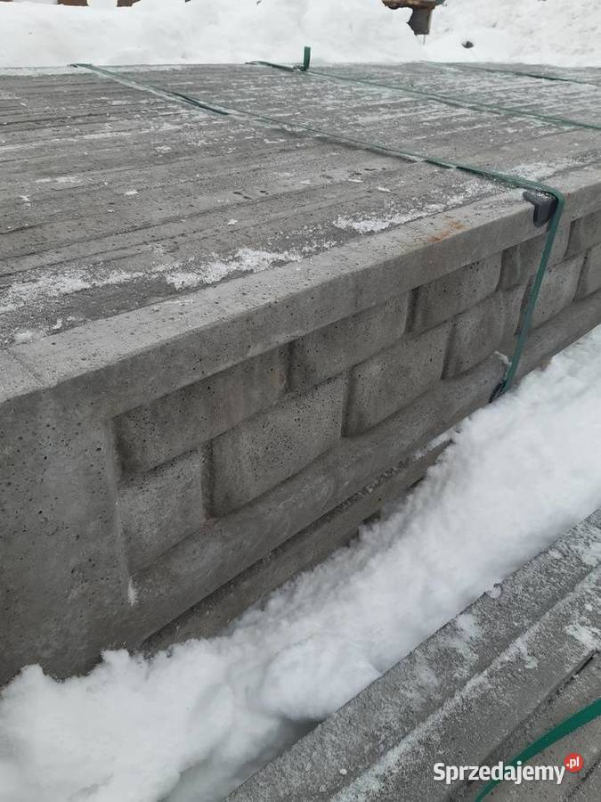 Płyta betonowa do ogrodzeń podmurówka 25x241 Łęczna