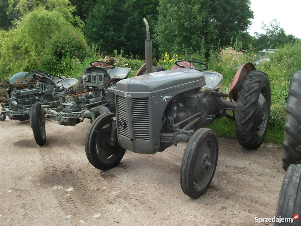 Ferguson TEA 20 263135 Massey Ferguson sprzedam