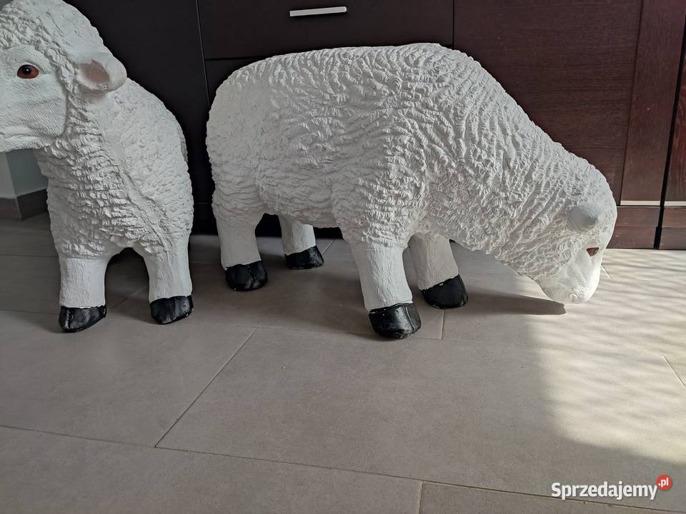 Owca DUŻA XXXL biały Straszęcin