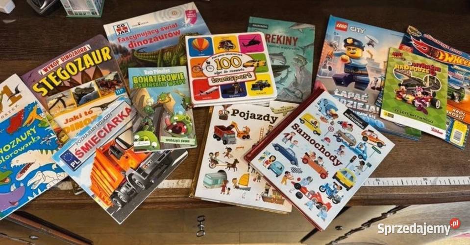 Zestaw książek chłopców Katowice
