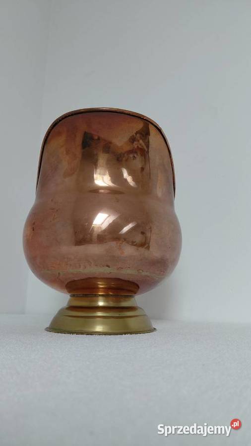 Węglarka miedziana Krzykawa