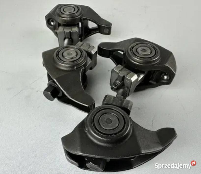 Krzywki zaworowe Polaris RZR 800 1202169 sprzedam