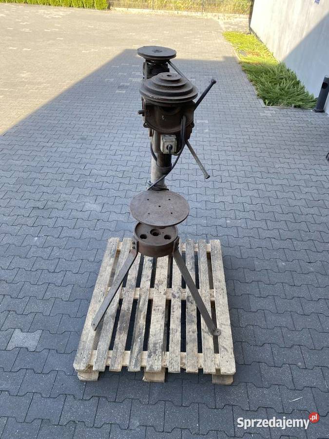 wiertarka stołowa kujawsko-pomorskie Pigża