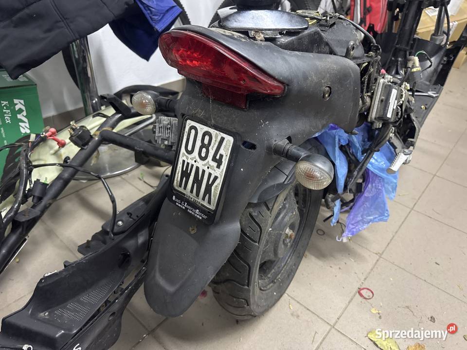 Błotnik nadkole tył Krs Pandora 2019 Lutomia Dolna
