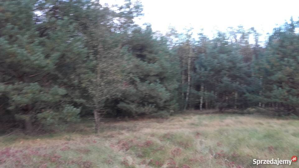 45 WARSZAWY BEZPOŚREDNIO 34m Andzin