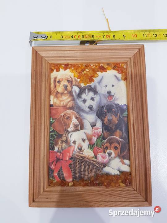 Ozdobny obrazek z bursztynkami Dąbrowa Górnicza