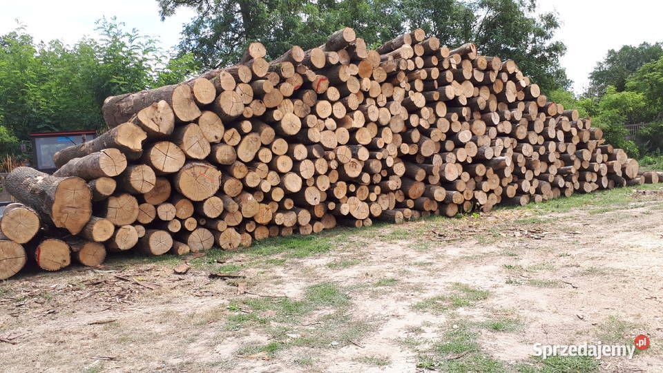 Drewno kominkowe wielkopolskie Palędzie