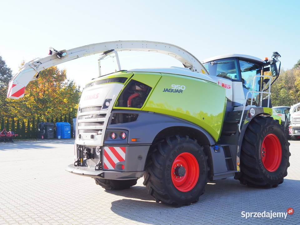 Claas jaguar 950 4WD Sieczkarnia polowa Automatyczne ostrzenie noży Stęszew