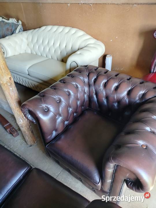 Chesterfield angielski lubelskie Biała Podlaska