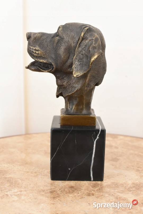 Głowa Pysk Psa Labrador Golden Retriever Figura Pozostałe Kraków
