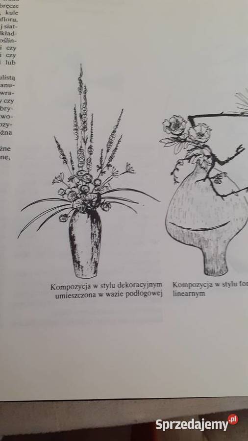 Układanki roślinne Poradniki, albumy i reportaże