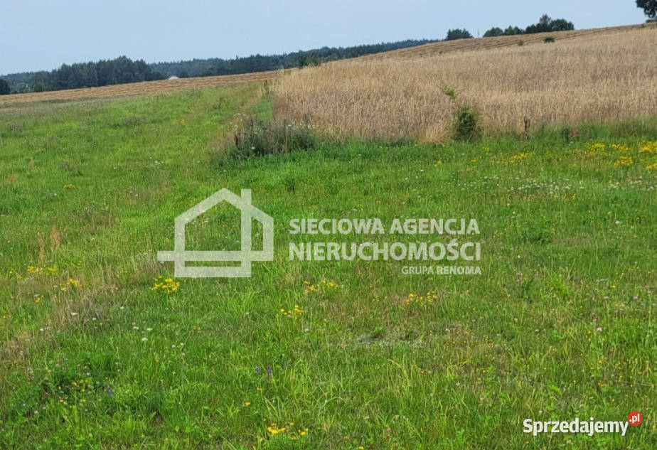Ogłoszenie działka 1820m2 Skrzeszewo 27m sprzedam