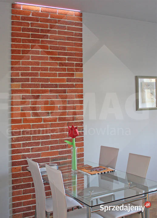 ROZBIÓRKOWA CEGŁA STARA PŁYTKI poniemiecka cięta Szczecin