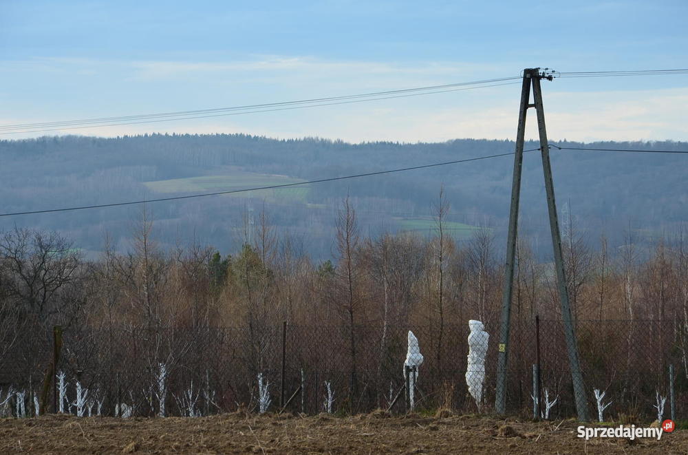 Poręba Radlna budowlanorolna 47 arów uzbrojona małopolskie Poręba Radlna