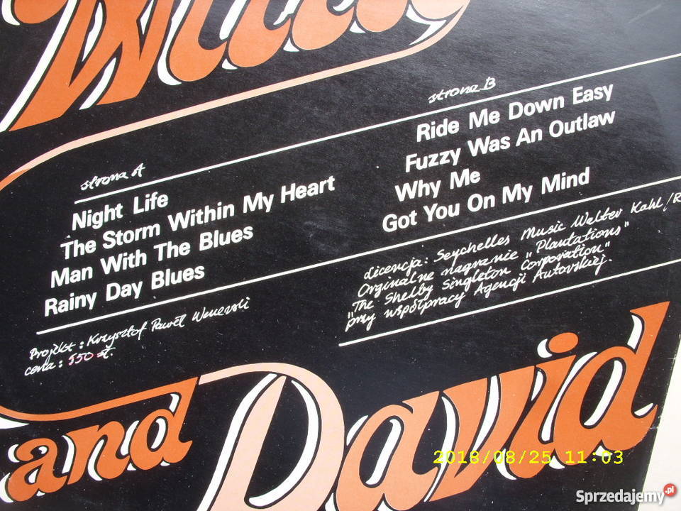 WILLIE AND DAVIDNIGHT LIFE LP winyl Wołów
