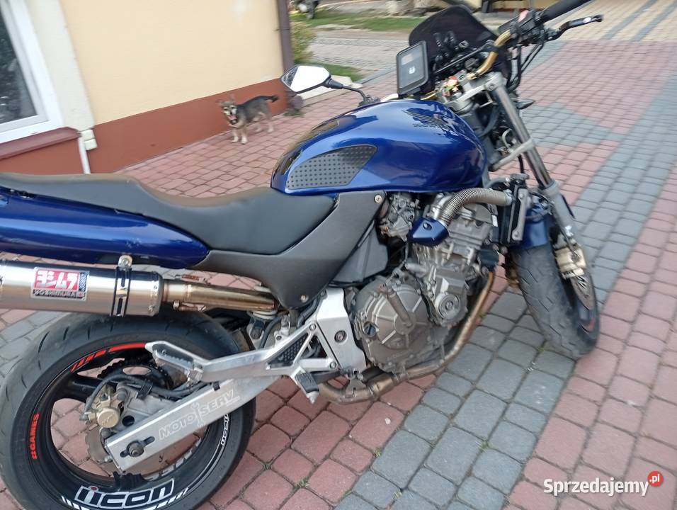 Honda hornet Żołynia sprzedam