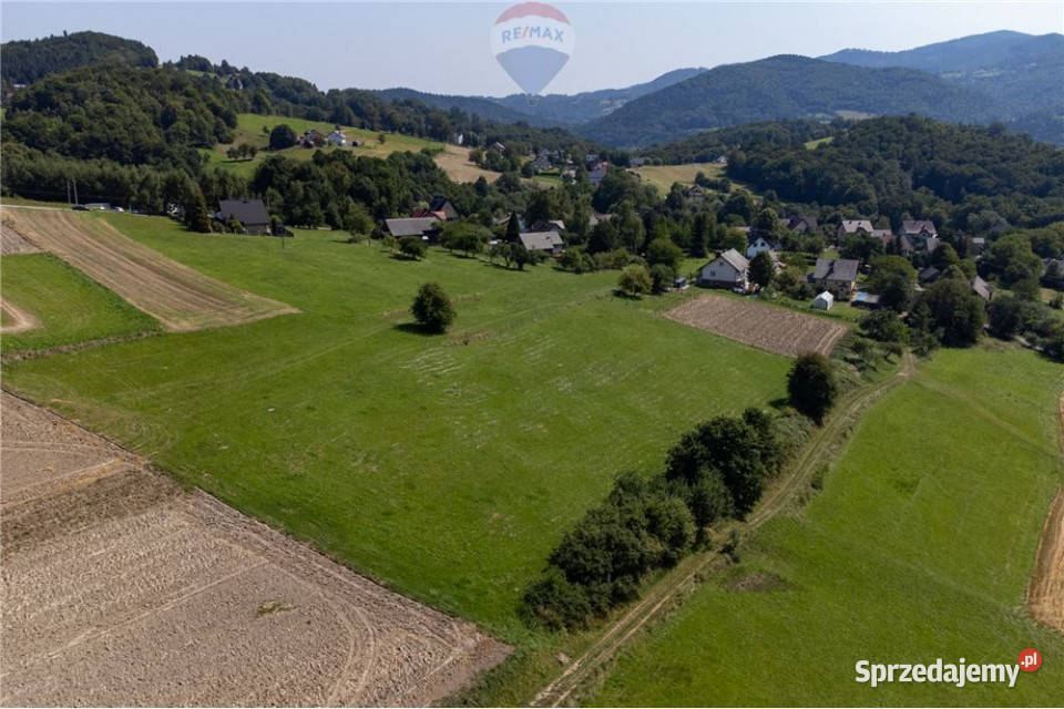 Prywatny las 3331 m2 Twoja przestrzeń w naturze Sprzedaż małopolskie Młynne