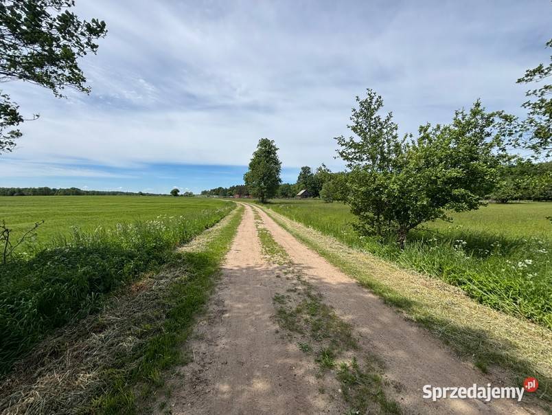 Ziemia rolna 481 ha z siedliskiem Stara Pecyna 1 rolna