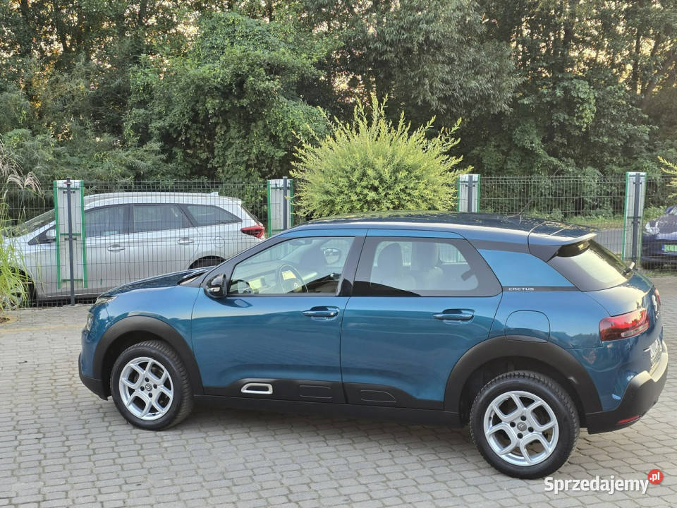 Citroen C4 Cactus 15 BlueHDI 102 SS NAVI ZADBANY Skępe sprzedam