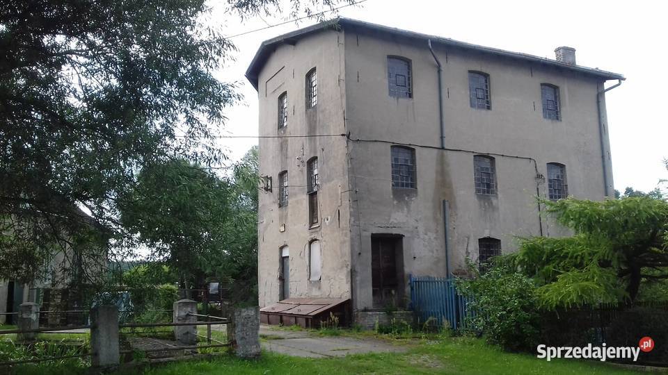 Renesansowy dom z ogrodem o zachodzie słońca na Chojna