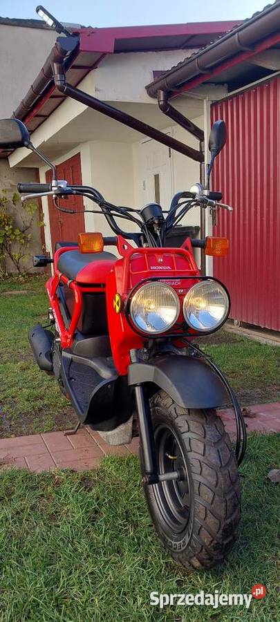 Honda nps 50 zoomer Lipsko sprzedam