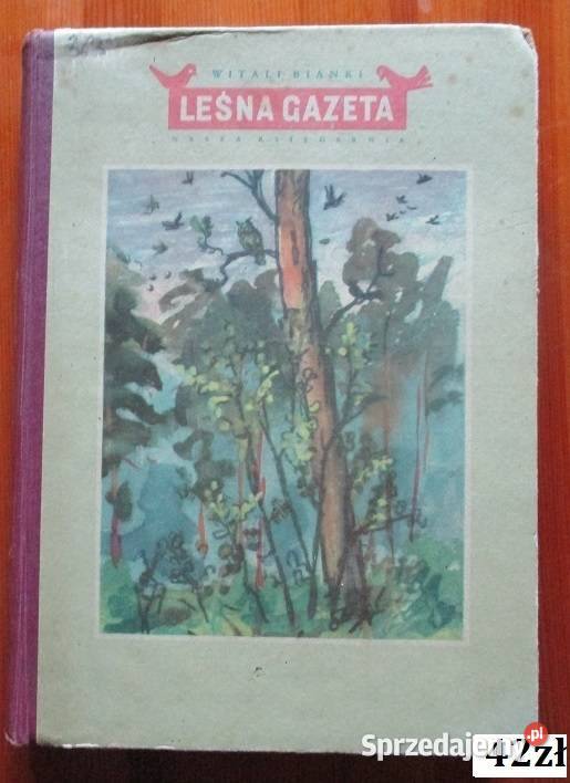 Raz w roku w Skiroławkach ZNienacki proza Łódź sprzedam