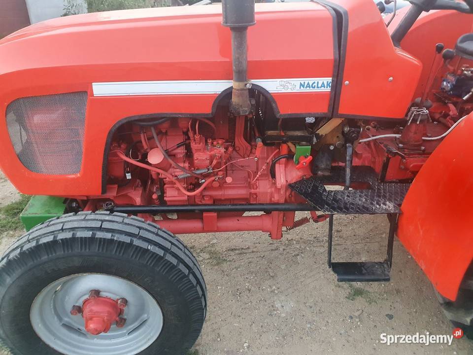 Władymirec t25 mazowieckie Grójec