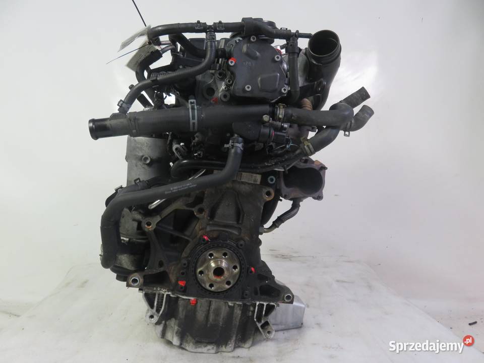 SILNIK VW POLO IV 9N 14 TDI PD 75 AMF osobowe Silniki kompletne małopolskie