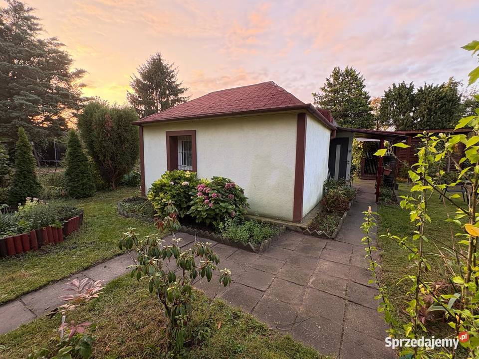 Działka ROD Mokotów Aleja Niepodległości 113115 Warszawa sprzedam