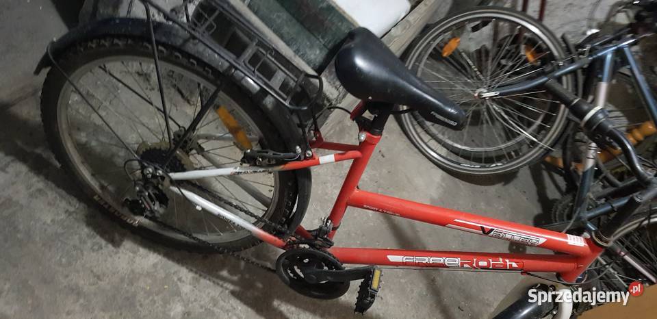 Rower Turystyczny 24 Freeroad Młodzieżowy Damski Gaj Oławski