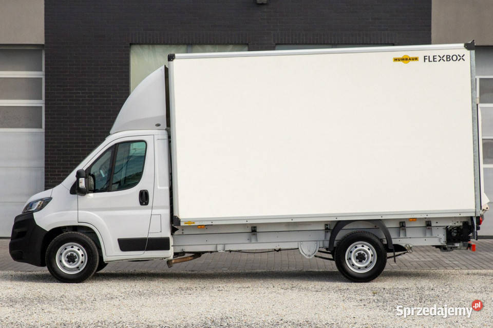 Fiat Ducato 8 palet KONTENER WINDA dHollandia biały Jarocin